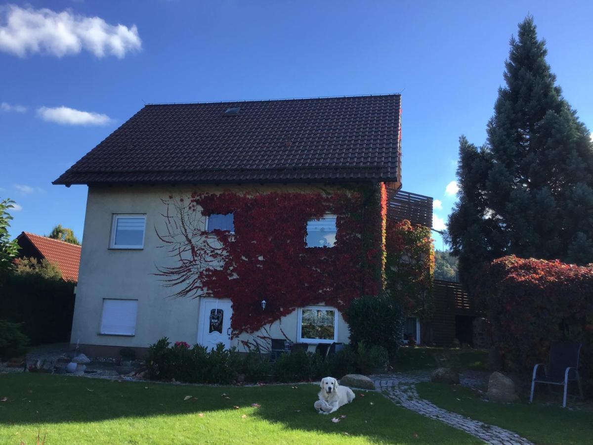 Ferienwohnung Elli Gernrode  Екстер'єр фото